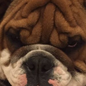 Meet your Posher, Scott